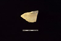 藏品(陶罐)的圖片